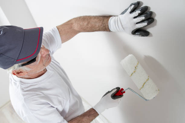 Best Black Mold Removal  in Purcell, OK