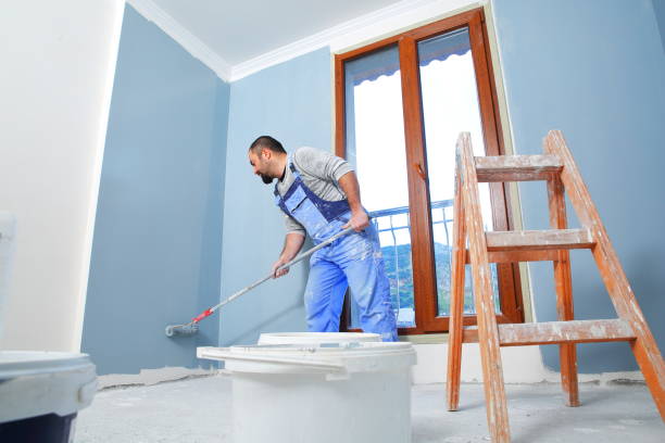 Best Mold Damage Restoration  in Purcell, OK