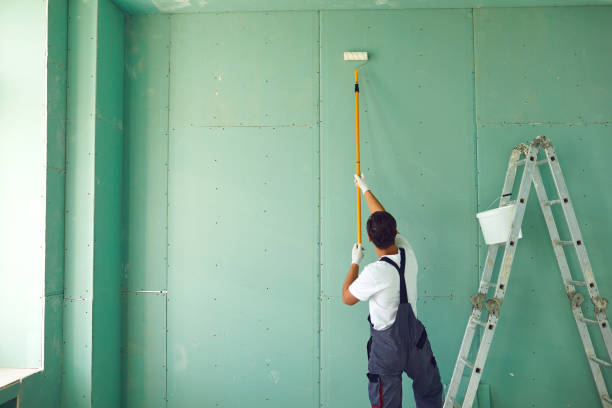 Best Attic Mold Removal  in Purcell, OK