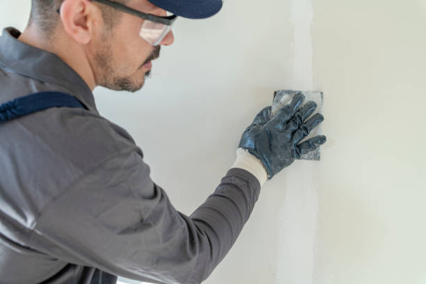 Best Post-Construction Mold Inspection  in Purcell, OK