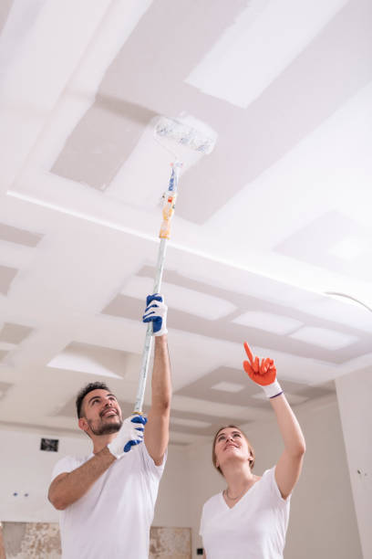 Best Basement Mold Removal  in Purcell, OK