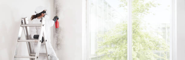 Best Commercial Mold Inspection  in Purcell, OK